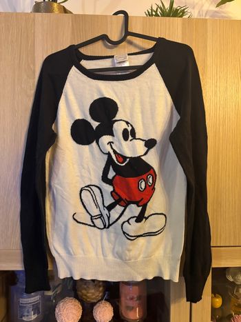 Pull léger Disney