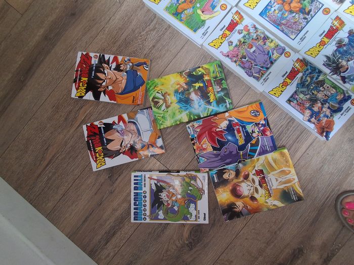 Livre sangoku - photo numéro 3