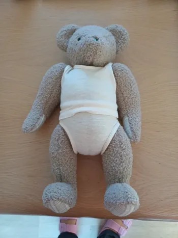 Ours de collection Moulin Roty