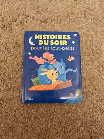 Livre histoire du soir pour les touts petits