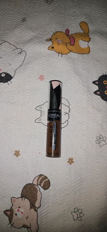 L'Oréal Infallible More Than Correcteur - 343 Truffle