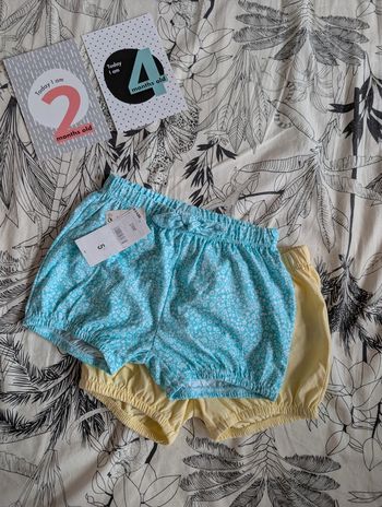 Lot 2 shorts 24 mois neufs