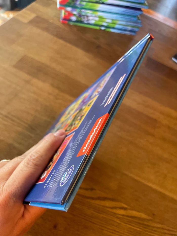 Livre La Pat Patrouille Paw Patrol L’ABC lettres chiffres formes et couleurs La lettre S Numéro 22 - photo numéro 6