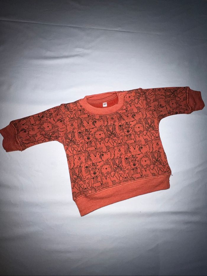 Pull 1 mois