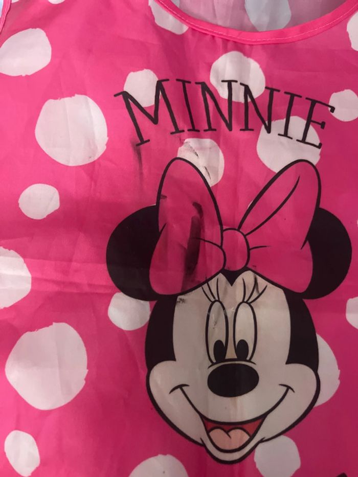 Minnie - photo numéro 2