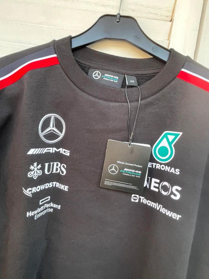 Pull sponsor Mercedes Petronas - photo numéro 3