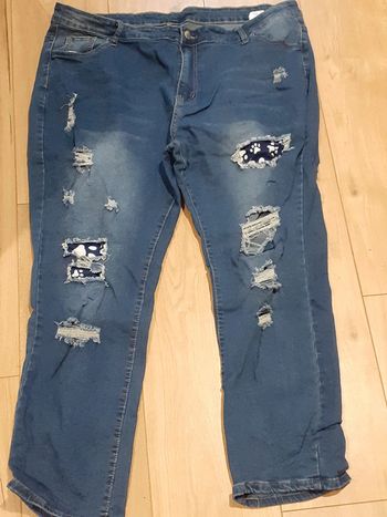 Jeans pour femme taille 4XL troués avec détails patte d'animaux