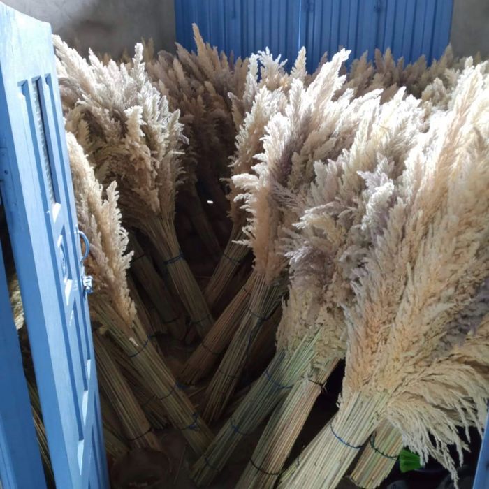 Bouquet de pampas , décoration - photo numéro 2