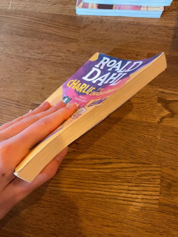 Livre Ronald Dahl Charlie et la chocolaterie  Folio Junior - photo numéro 4