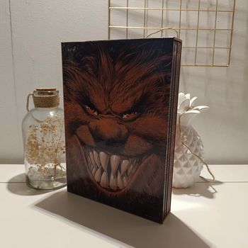 Trolls de troy coffret BD 1 à 4