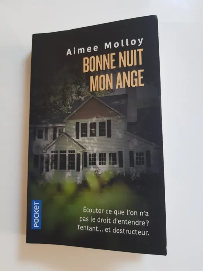 Aimee Molloy (Écrivain) Bonne nuit mon ange - photo numéro 2