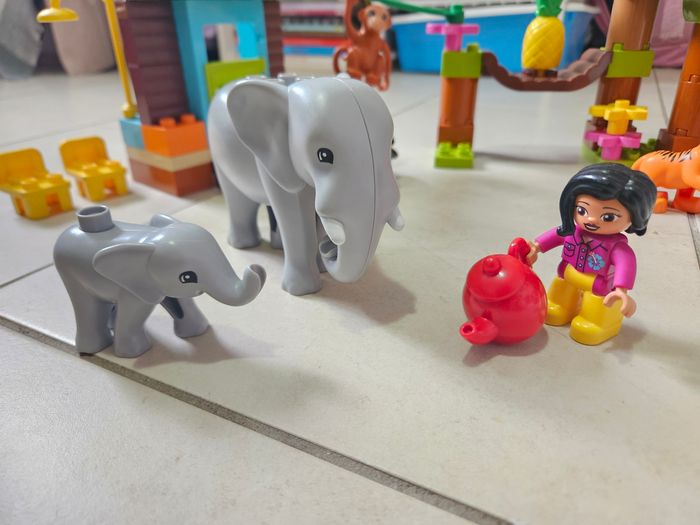 Lego Duplo L'île tropicale 10906 - photo numéro 8