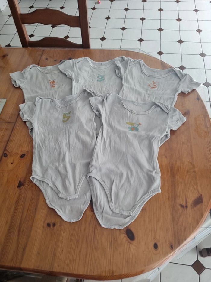 Lot 5 bodies manche courte