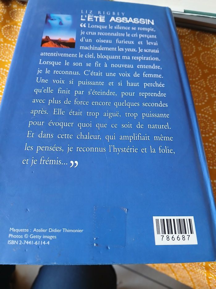 Roman l été assassin - photo numéro 2