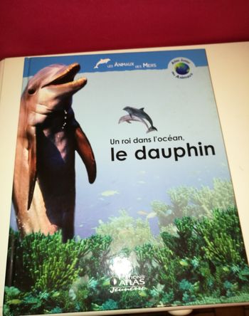 Livre Atlas junior des animaux " le dauphin"