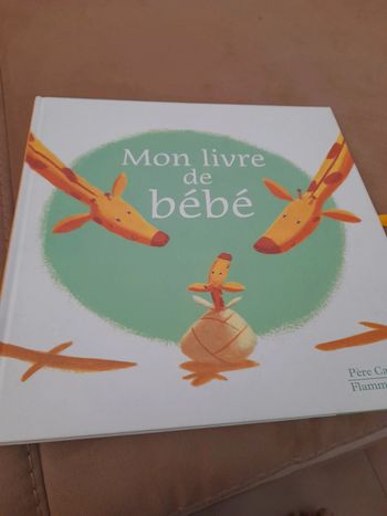 Livre de bébé