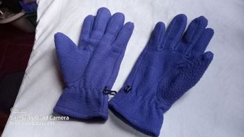 gants courtele