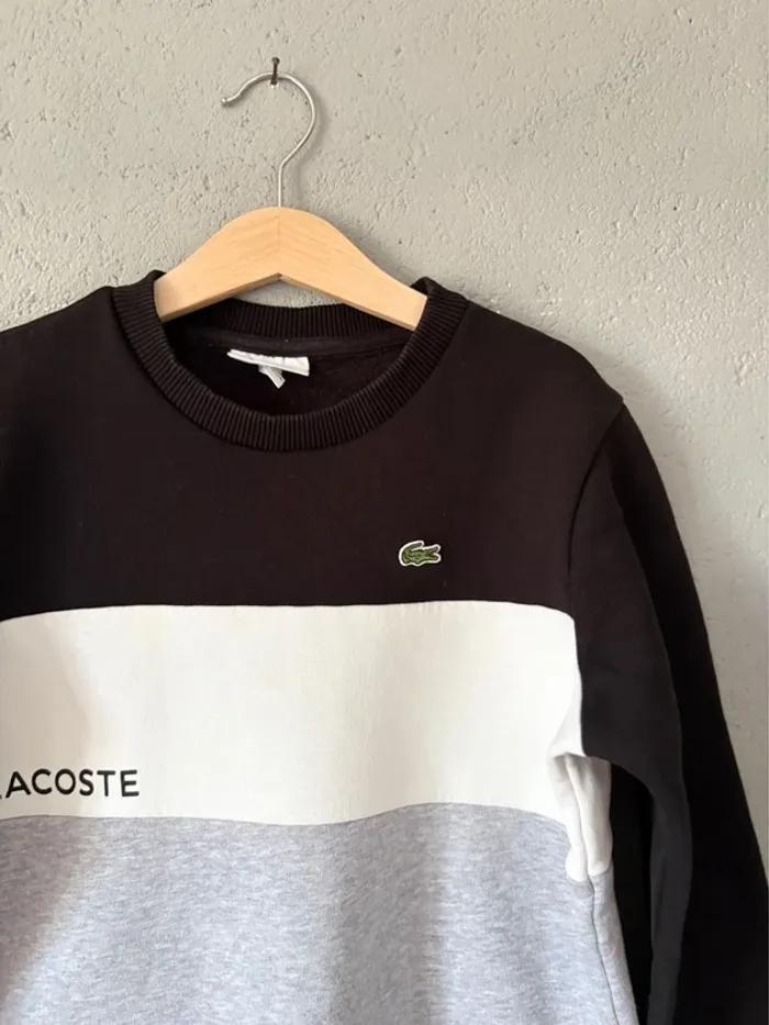 Sweat-shirt Lacoste 10ans 🚗 - photo numéro 3