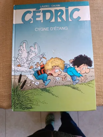 Cédric. Cygne d'étang.