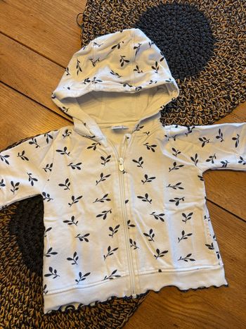 Veste zip à capuche 