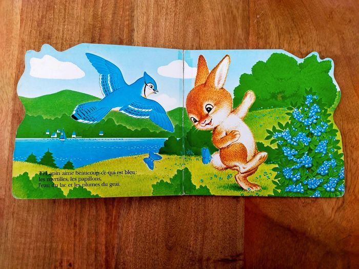 🐇Ti-Lapin et les couleurs 🌈 - photo numéro 4