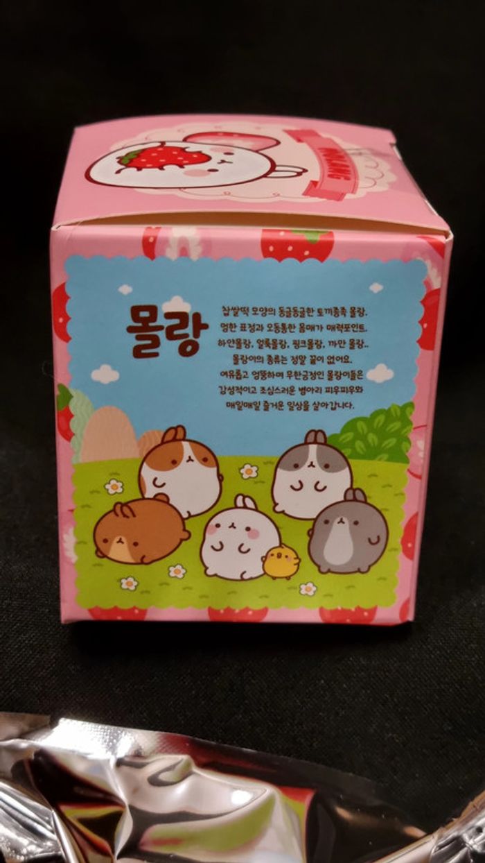 Lot de 2 Blind Box Molang Fraise et Sushi - Corée du Sud - photo numéro 8