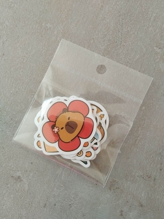 Lot x20 stickers autocollants Capybara - photo numéro 2