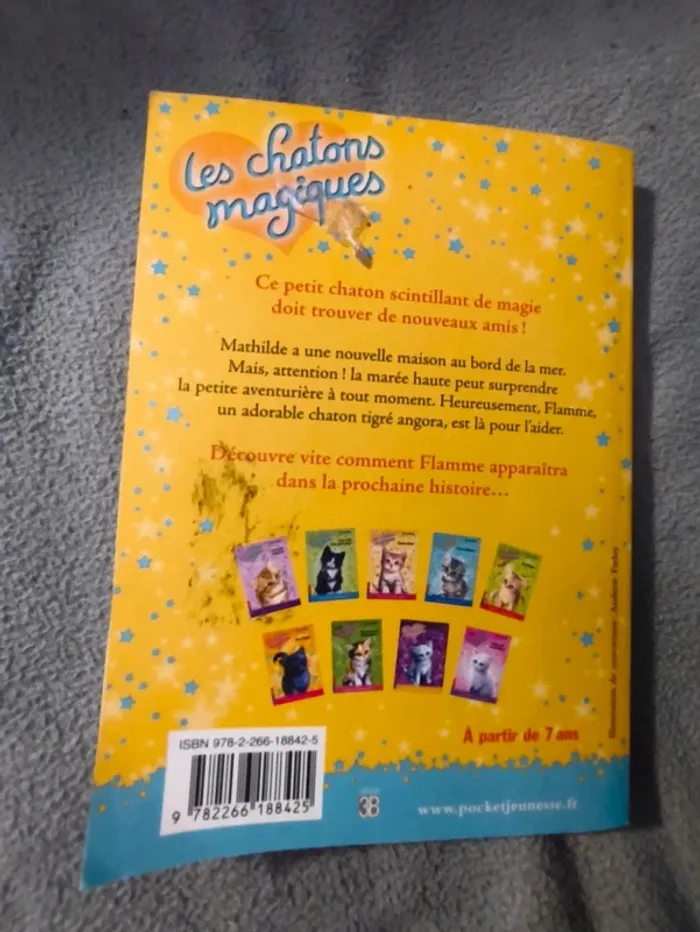 Livre - Les chatons magiques - photo numéro 4