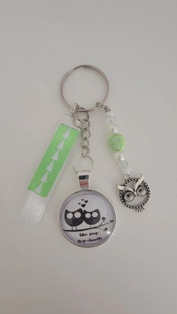 Cadeau soeur,porte clé message bijoux de sac " sœur trop chouette"