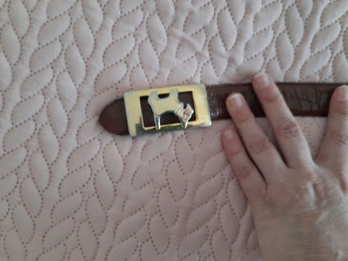 Ceinture Chipie - photo numéro 2