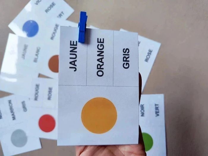 11 grande carte à pince thème couleur - photo numéro 4