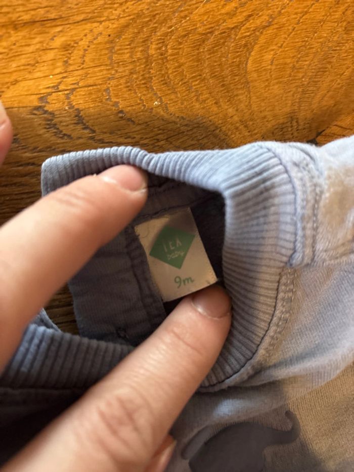 Ensemble dino bleu - photo numéro 2