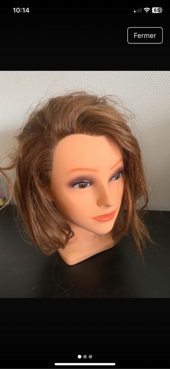 Tête a coiffé  professionnel