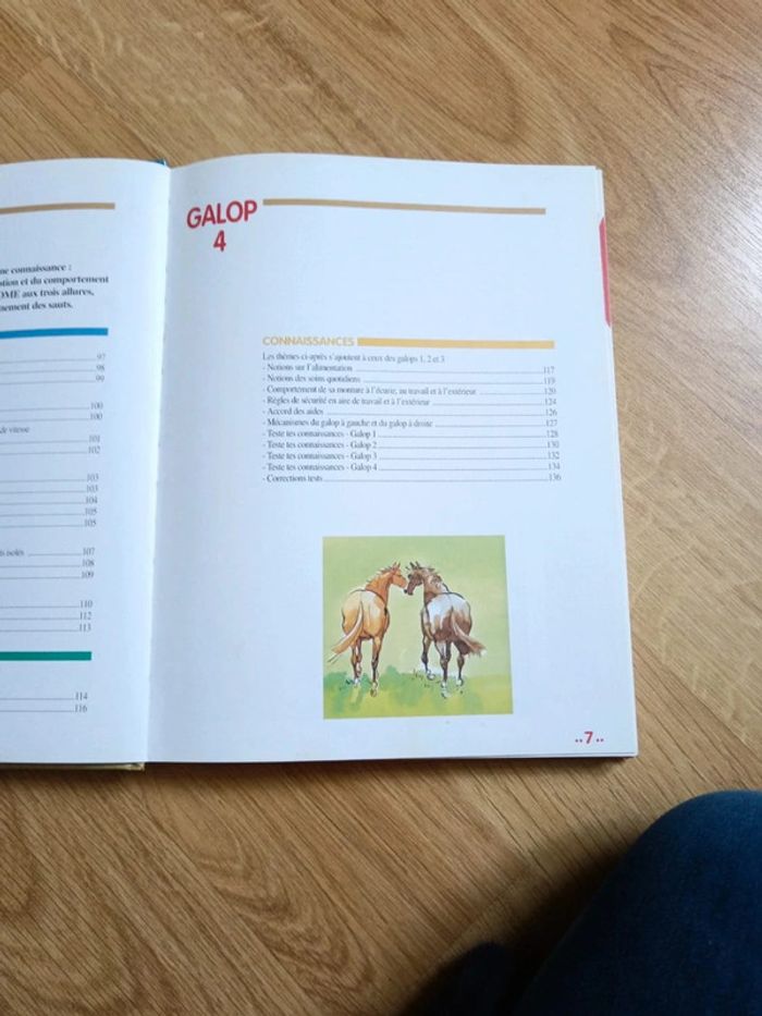 Manuel galop 1 à 4 - photo numéro 6