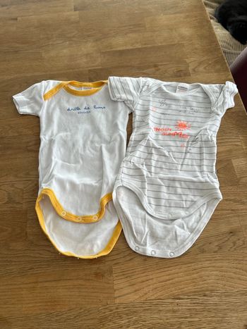 Lot 2 bodies MC absorba