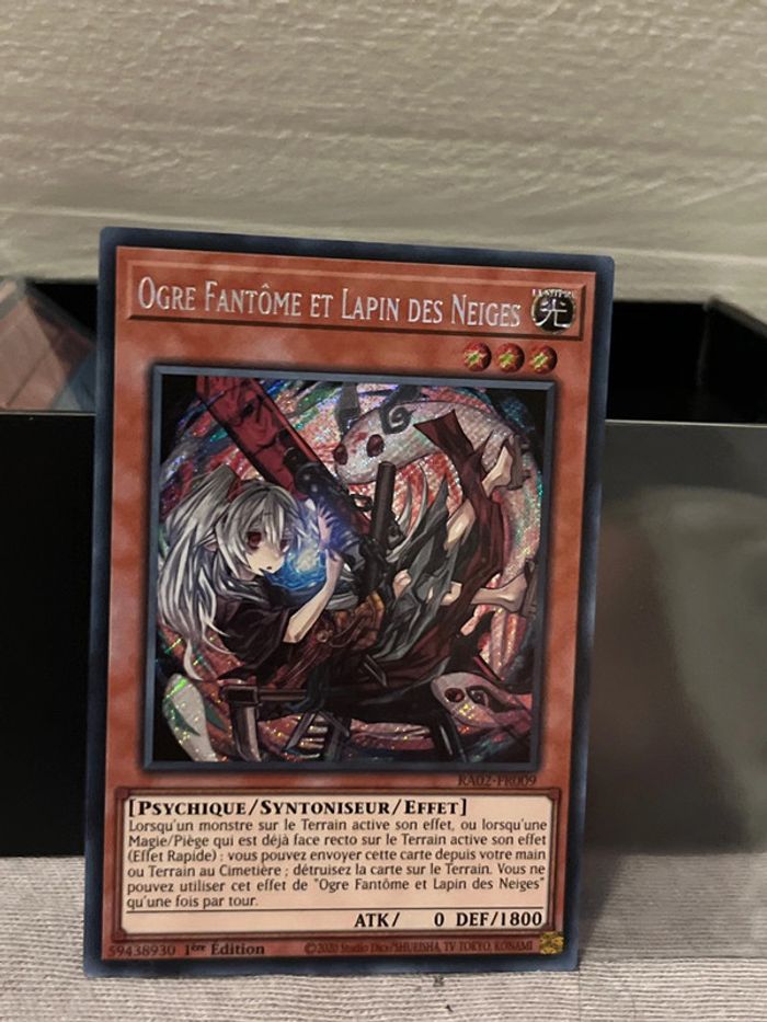 Ogre fantôme et lapin des neiges - photo numéro 3