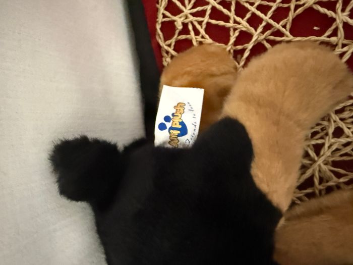 doudou chien bouvier bernois ami plush - photo numéro 3