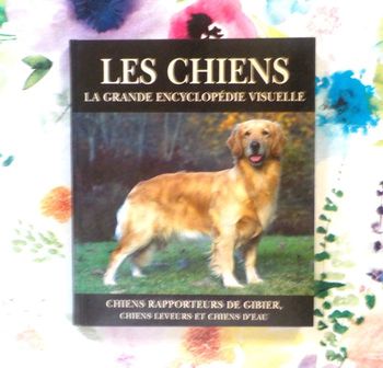 CHIENS RAPPORTEURS DE GIBIER, CHIENS LEVEURS ET CHIENS D'EAU