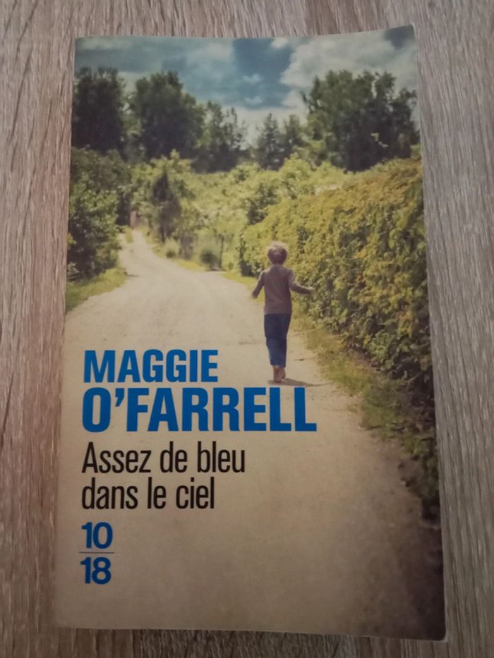 Maggie O'Farrell 🪅 Assez de bleu dans le ciel - photo numéro 1