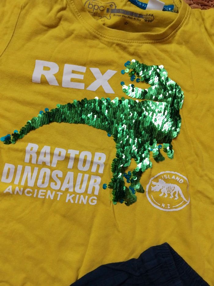 Tee-shirt et short Dinosaure, bon prix, 6 ans - photo numéro 4