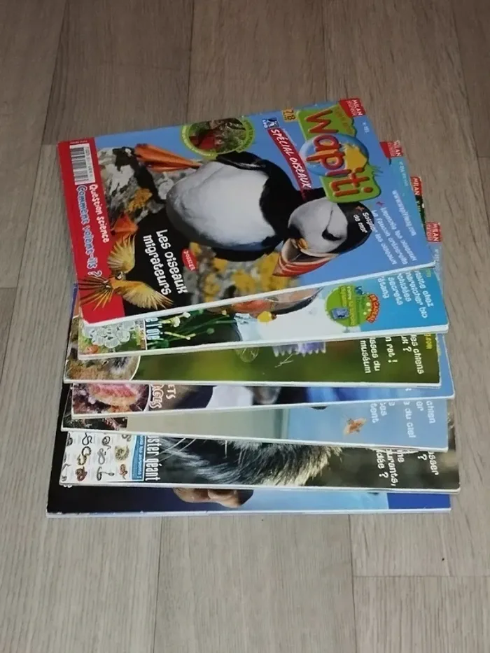 Lot de 7 magazines Wapiti année 2008 L024 - photo numéro 4
