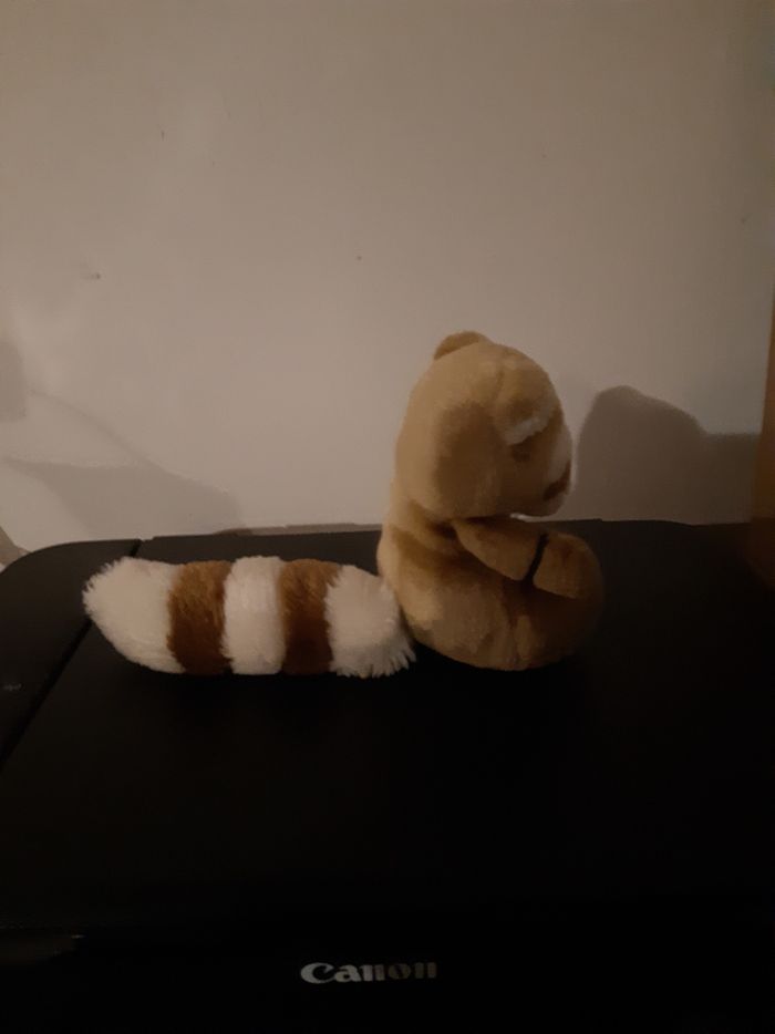 Peluche raton laveur - photo numéro 2