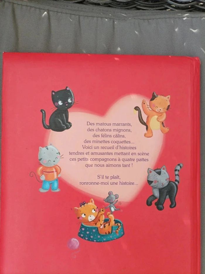 Livre d'histoires de chats et chatons - photo numéro 9
