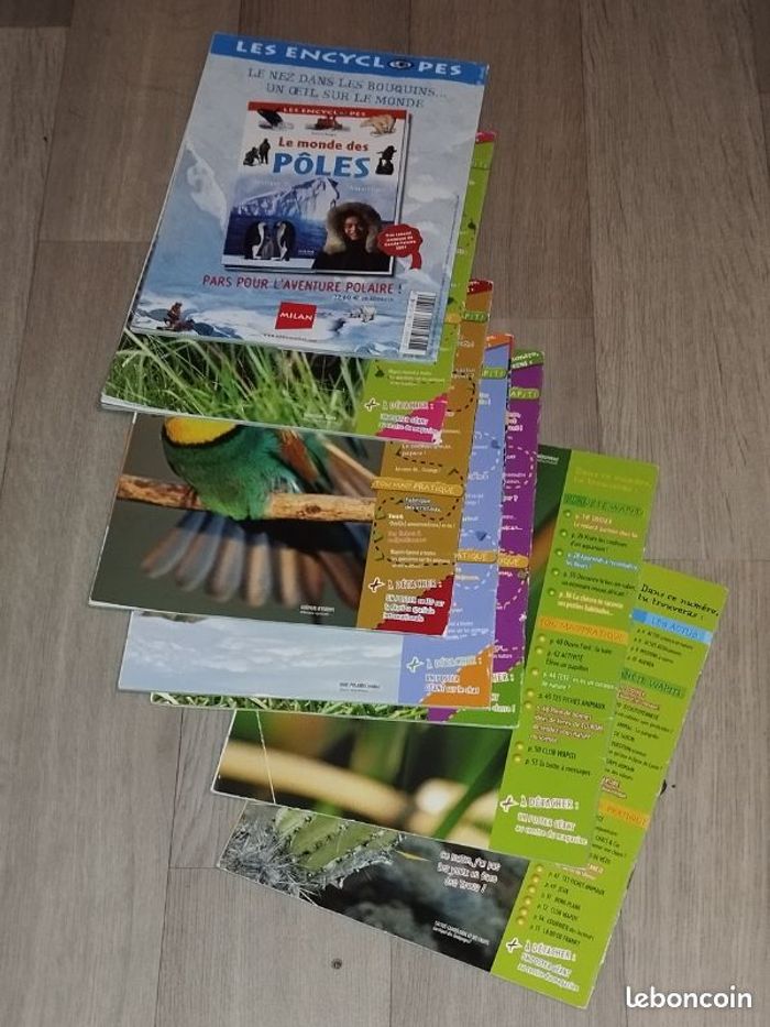 Lot de 7 magazines Wapiti année 2007-08 L023 - photo numéro 7