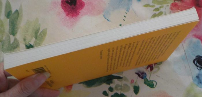 Avant que j'oublie de Anne Pauly Ed. Verdier - photo numéro 5