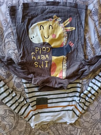 Lot de deux t-shirt