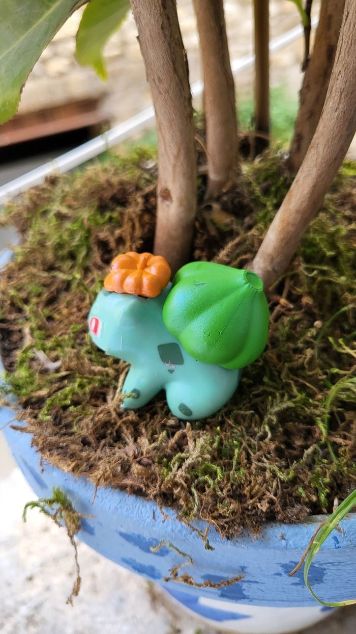 Super Figurine pokemon Nintendo Bulbizarre halloween effet brillant