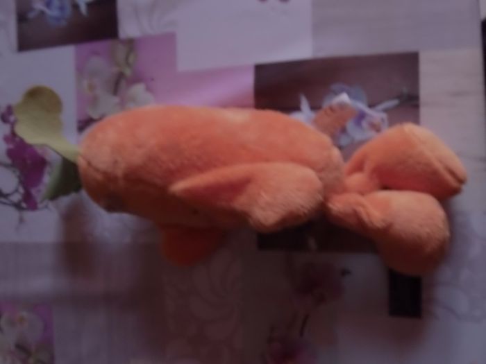 Peluche Carotte - photo numéro 5