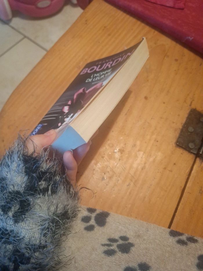 Livre bourdin pocket - photo numéro 3