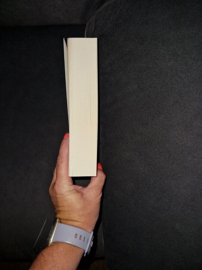 Livre " le succès du malheur " - photo numéro 4